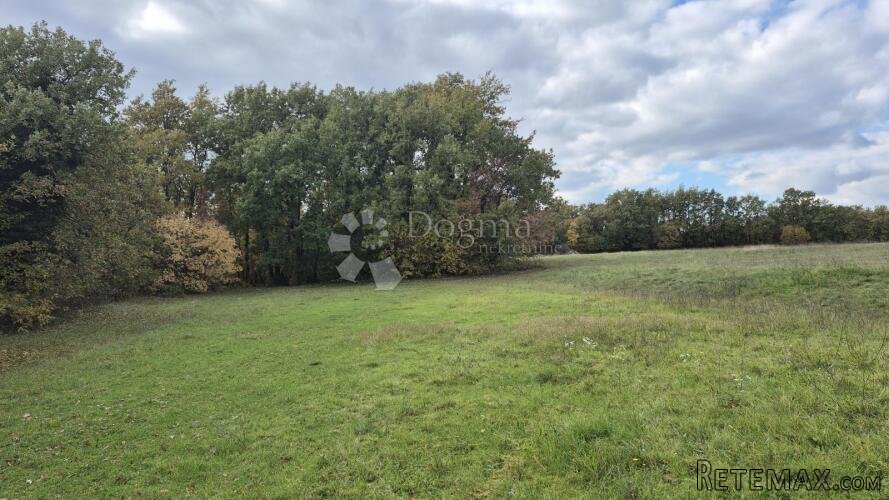 Poljoprivredno zemljište nedaleko mjesta Pusti 8182 m2 - 3