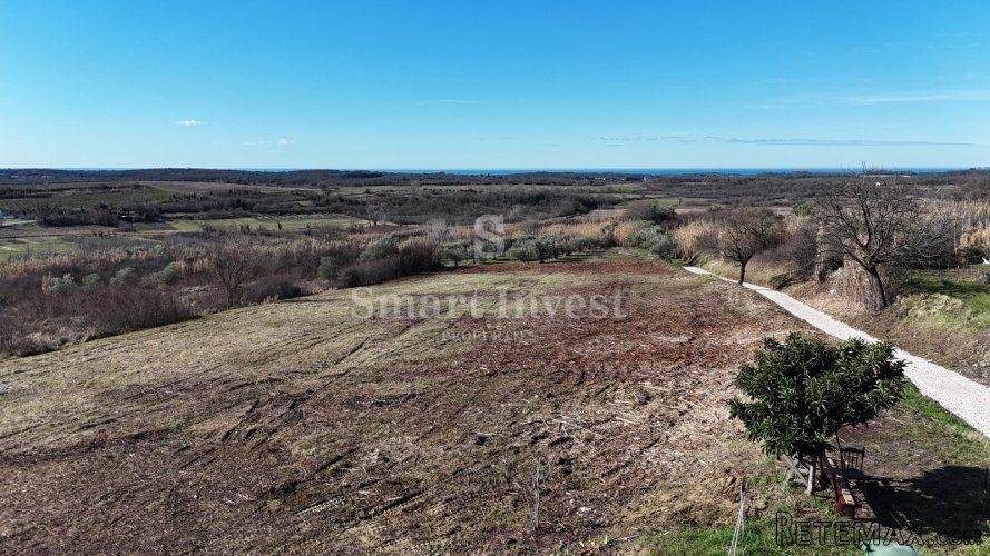BUJE, građevinsko zemljište od 1036 m2 za kuću, pogled more
