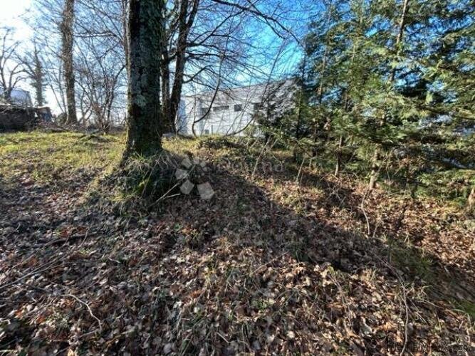 Osunčani teren na Marčeljima - 2