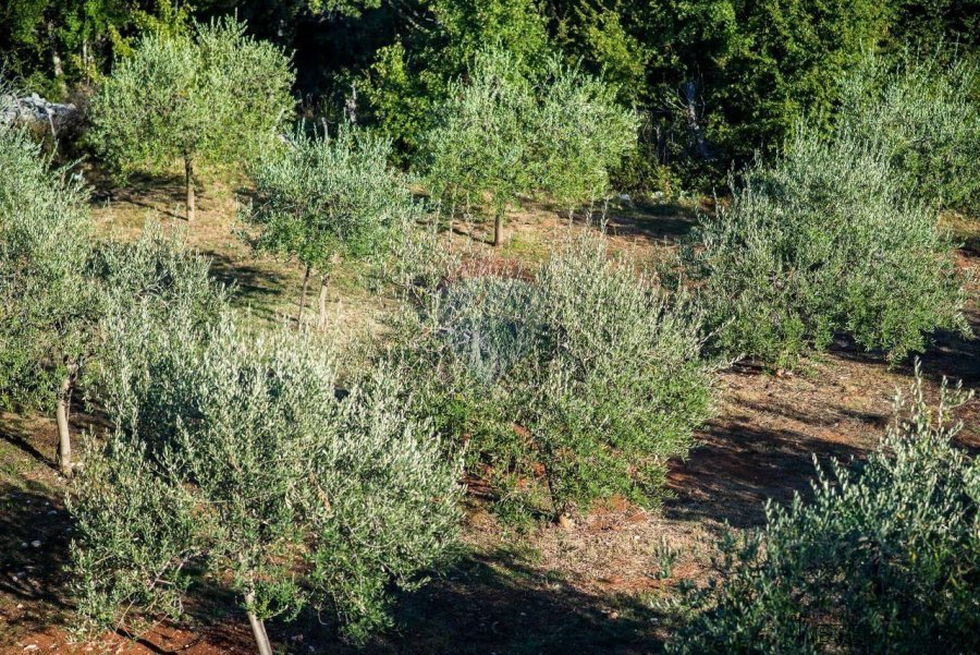Risika, dvije nove kamene vile na okućnici od 7.000m2 - 10