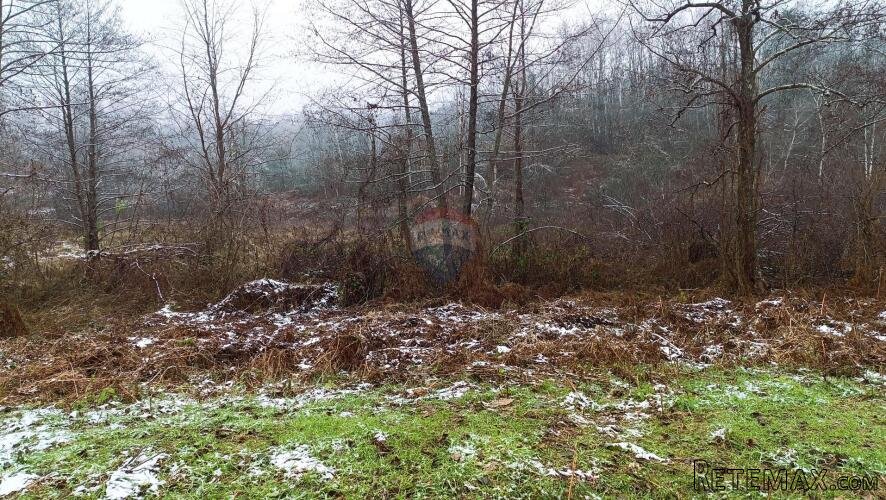 Karlovac,Trebinja-poljoprivredno zemljište 2 876 m2 - 2