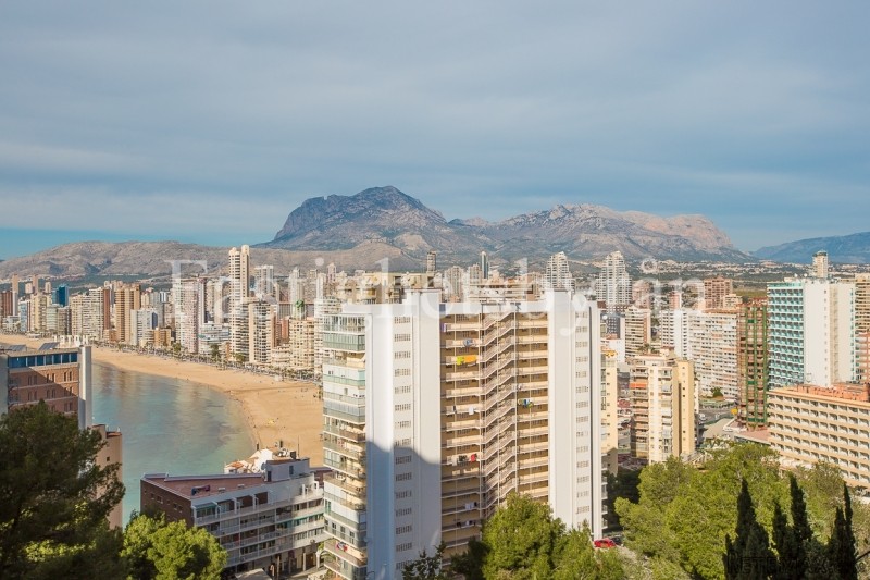 Benidorm - Costa Blanca