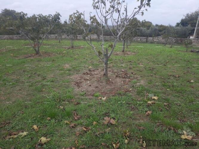 Marčana – građevinsko zemljište 2102 m² - 3