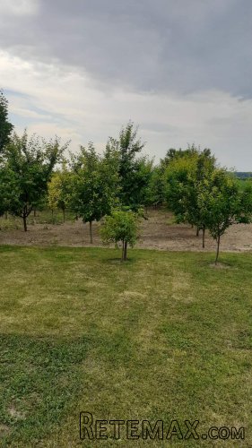 Prodajem porodicnu kucu Hrtkovci-Ruma - 14