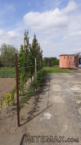 Prodajem porodicnu kucu Hrtkovci-Ruma - 19