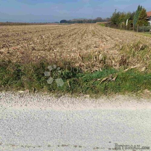 VELIKO POLJOPRIVREDNO ZEMLJIŠTE LUDBREG - 3