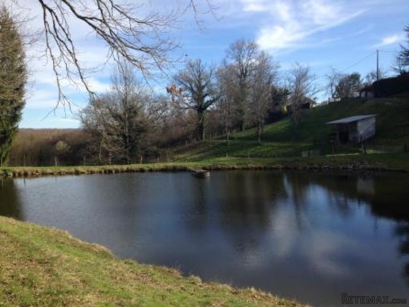 Nice Detached House with Lake - 2