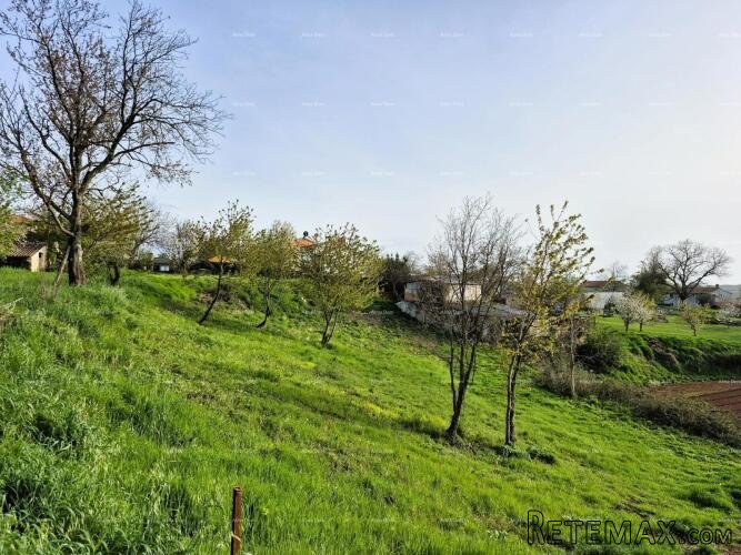 Građevinsko zemljište 1.730 m² – Barban