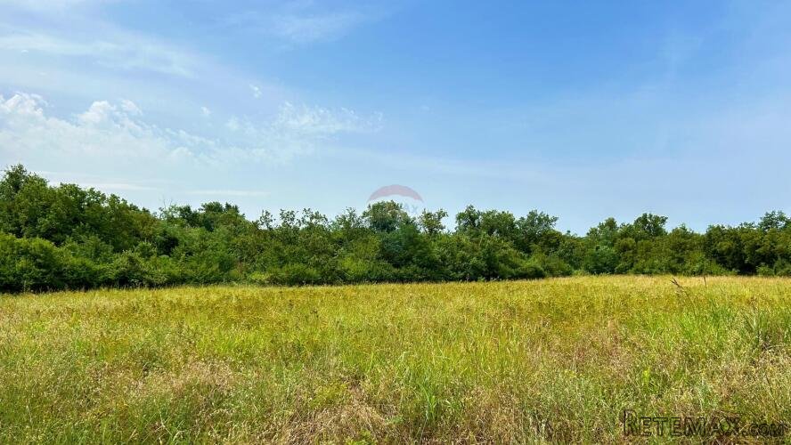 Istra,Lovrečica- Poljoprivredno zemljište - 3