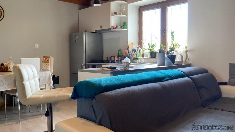 Višnjan okolica, kuća s velikom okućnicom od 17000m2 - 3