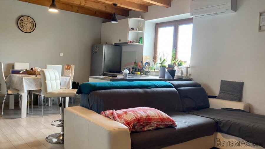 Višnjan okolica, kuća s velikom okućnicom od 17000m2 - 4