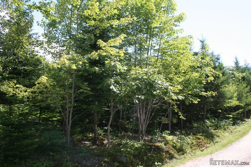 Land For Sale: Lot 3 Island View Drive.. - 2