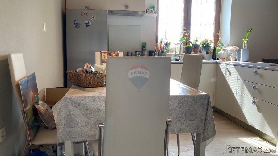 Višnjan okolica, kuća s velikom okućnicom od 17000m2 - 6