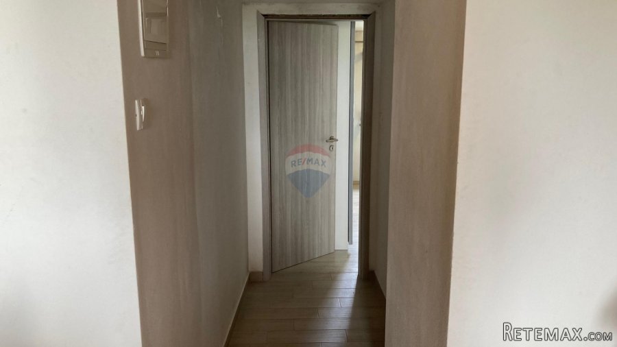 Višnjan okolica, kuća s velikom okućnicom od 17000m2 - 7