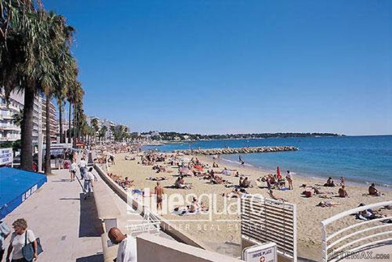Apartement - 3 Rooms - Centre of Juan..