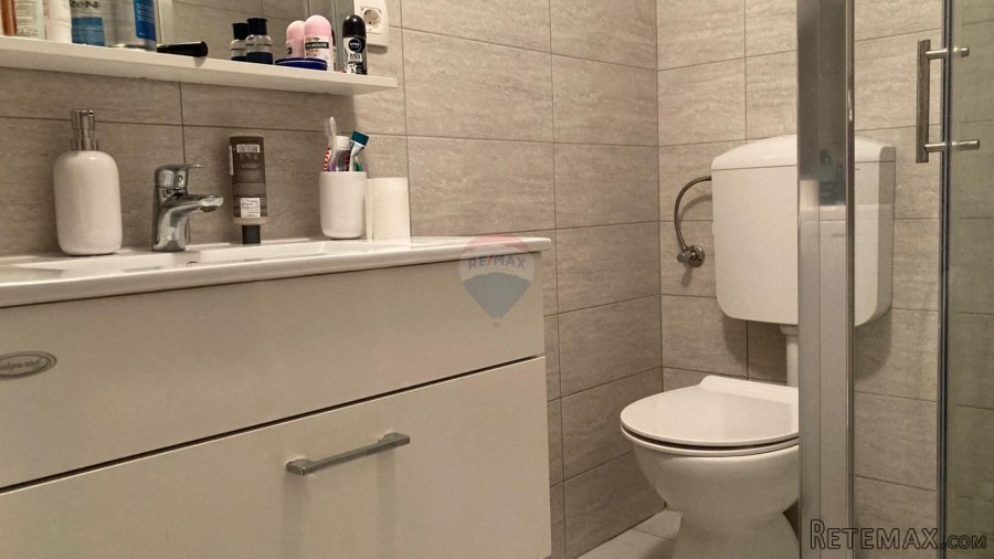Višnjan okolica, kuća s velikom okućnicom od 17000m2 - 9