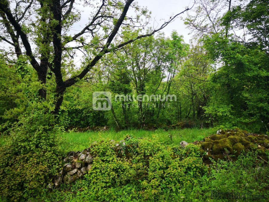 Istra, Ročko Polje, 66.228m2 šume i livade - 2