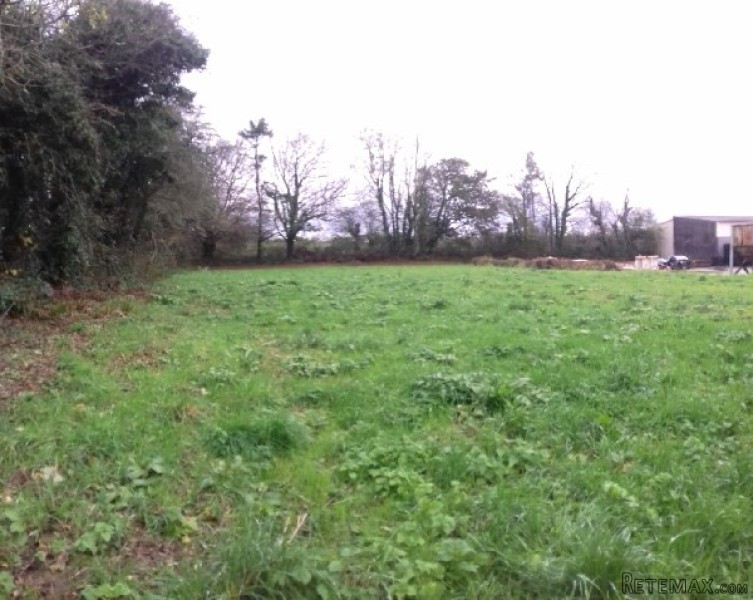 Vast Country House, Huge Potential - 2
