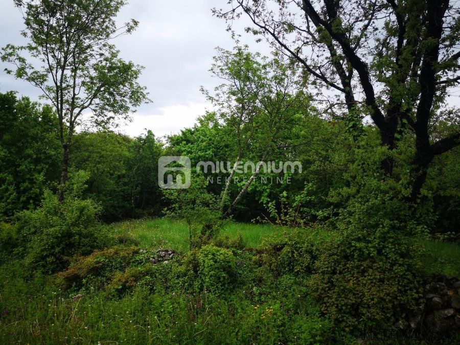 Istra, Ročko Polje, 66.228m2 šume i livade - 3
