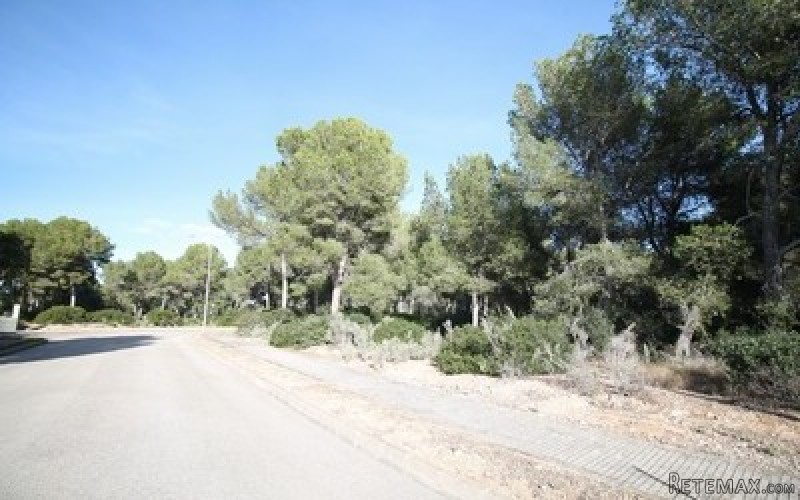 Plot for sale in Nova Santa Ponsa.