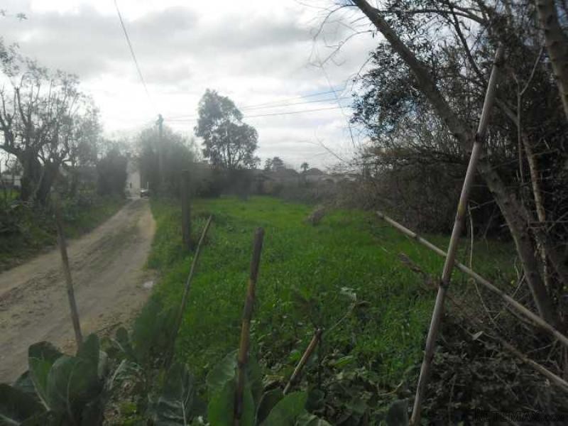 Farm For Sale - Aveiro