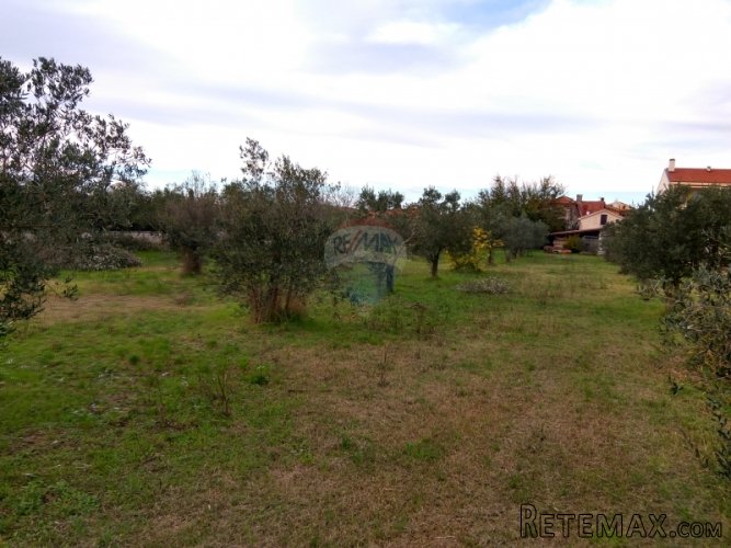 ISTRA, FAŽANA, građevinsko zemljište 400m od mora - 3