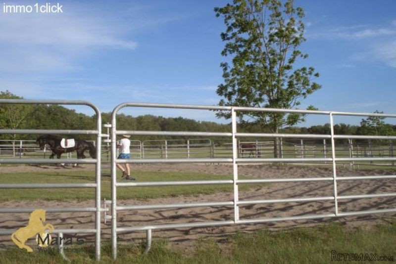 McAlpin: horseranch, equestrian.. - 2
