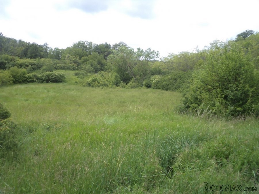 Istra zemljište za prodaju 19.285 m2 - 2