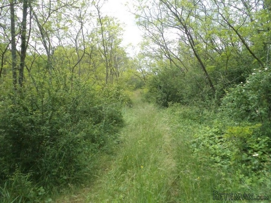 Istra zemljište za prodaju 19.285 m2 - 3
