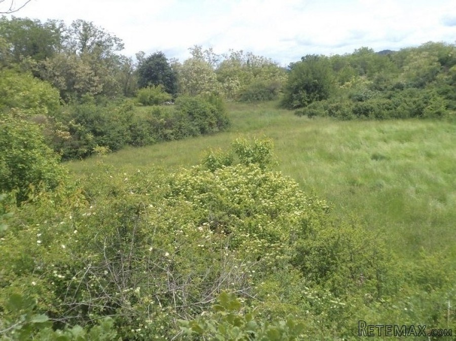 Istra zemljište za prodaju 19.285 m2 - 5