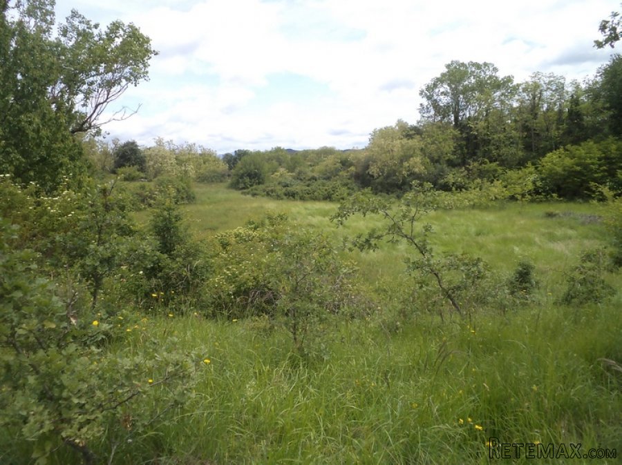 Istra zemljište za prodaju 19.285 m2 - 6