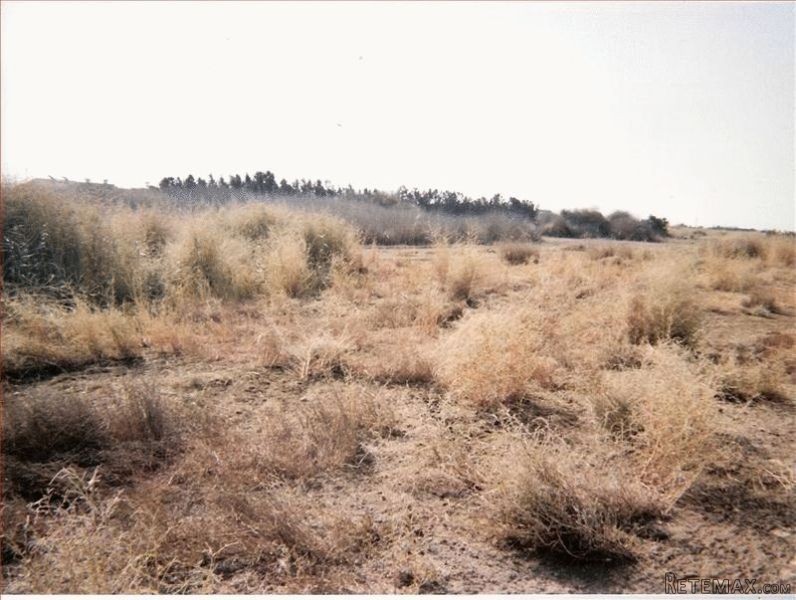 - Land - Larnaca - For Sale