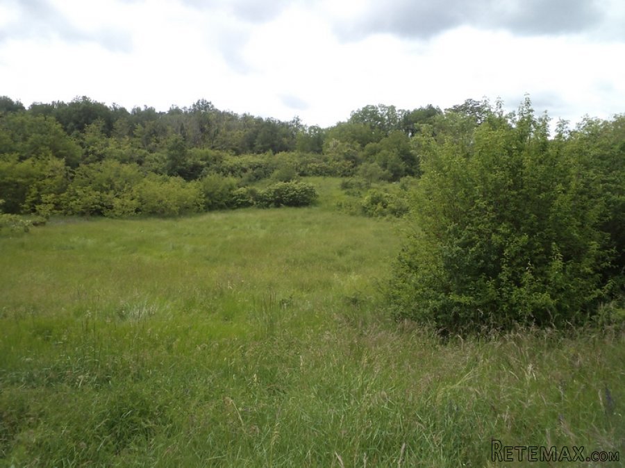 Istra zemljište za prodaju 19.285 m2 - 8