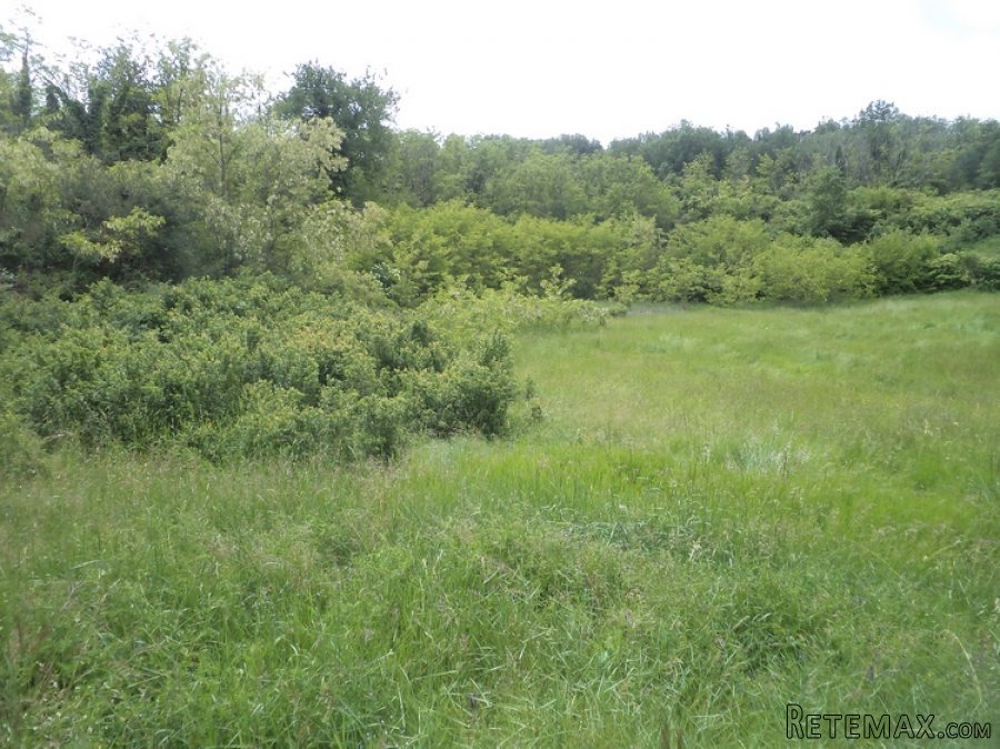 Istra zemljište za prodaju 19.285 m2 - 10