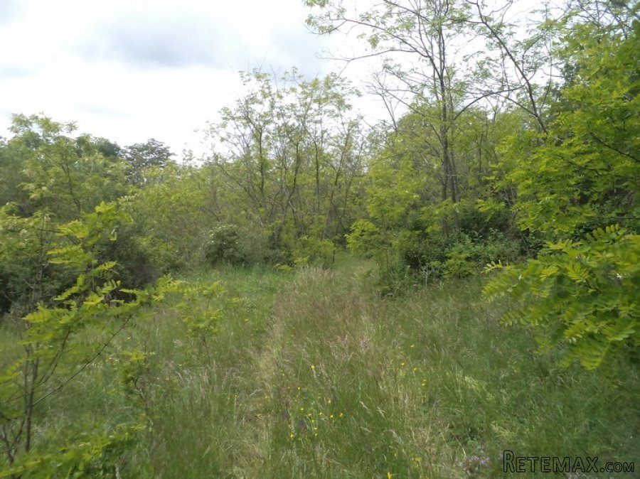 Istra zemljište za prodaju 19.285 m2 - 4