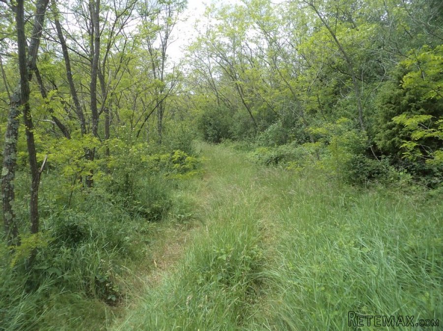 Istra zemljište za prodaju 19.285 m2 - 11