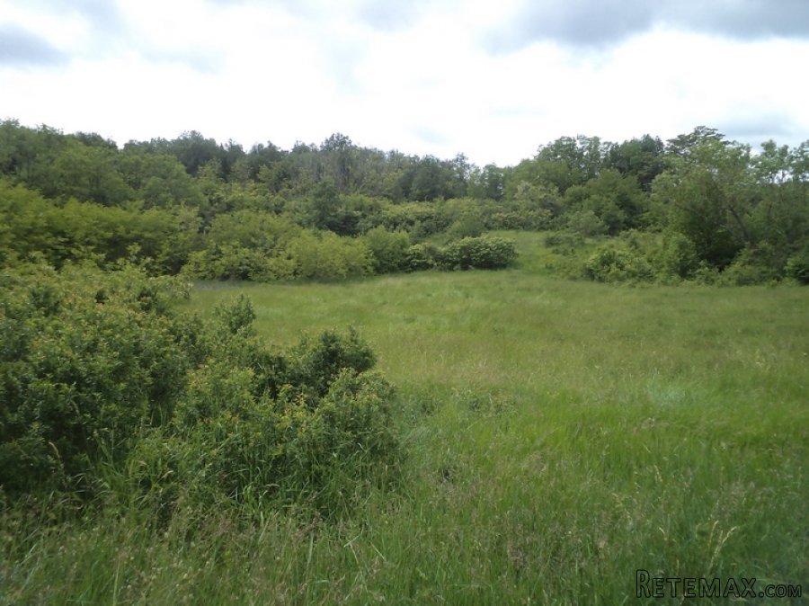 Istra zemljište za prodaju 19.285 m2 - 12