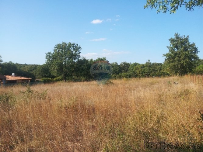 ISTRA, GRAĐEVINSKO ZEMLJIŠTE 2916 m2 S POGLEDOM NA PRIRODU - 3