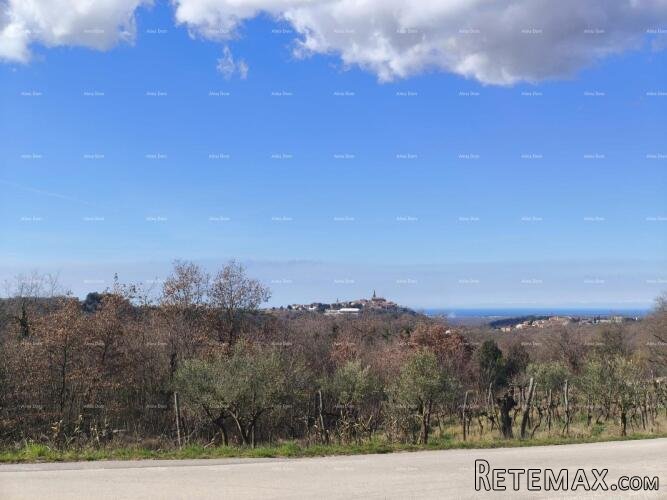Buje – građevinsko zemljište 1.086 m² s pogledom na more - 3