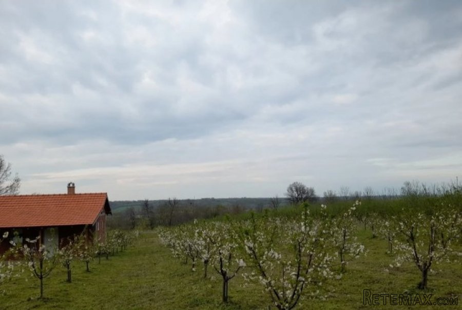 Vikendica na prodaju Sume-Topola - 3
