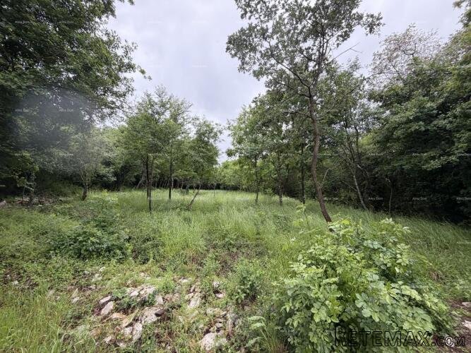 Buje – građevinsko zemljište 1.086 m² s pogledom na more - 5