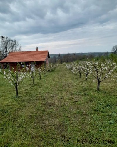Vikendica na prodaju Sume-Topola - 10
