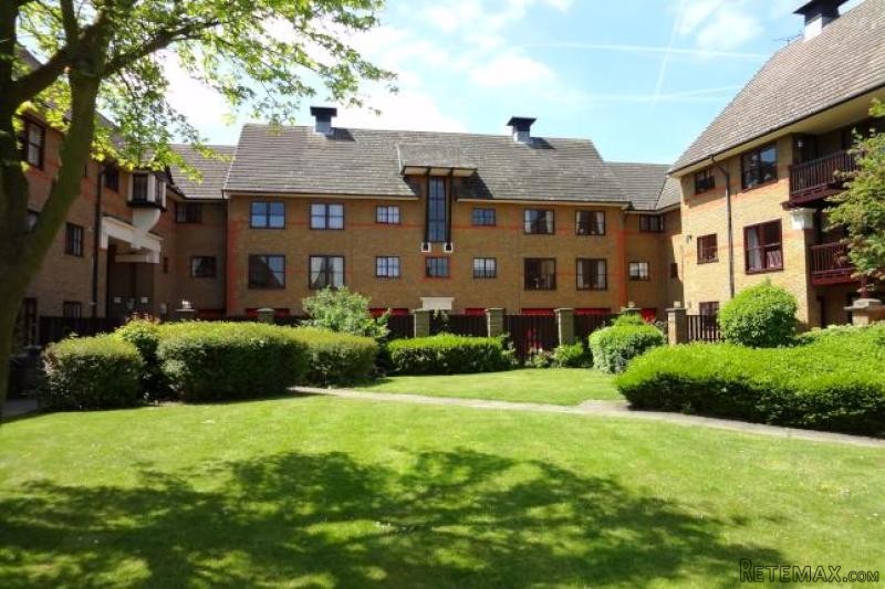 1 bed flat to rent