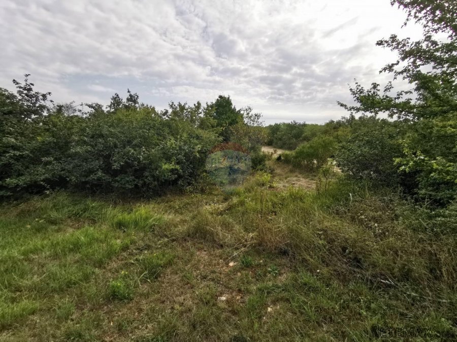 Istra,Grožnjan-Građevinsko zemljište u mirnom okruženju - 2