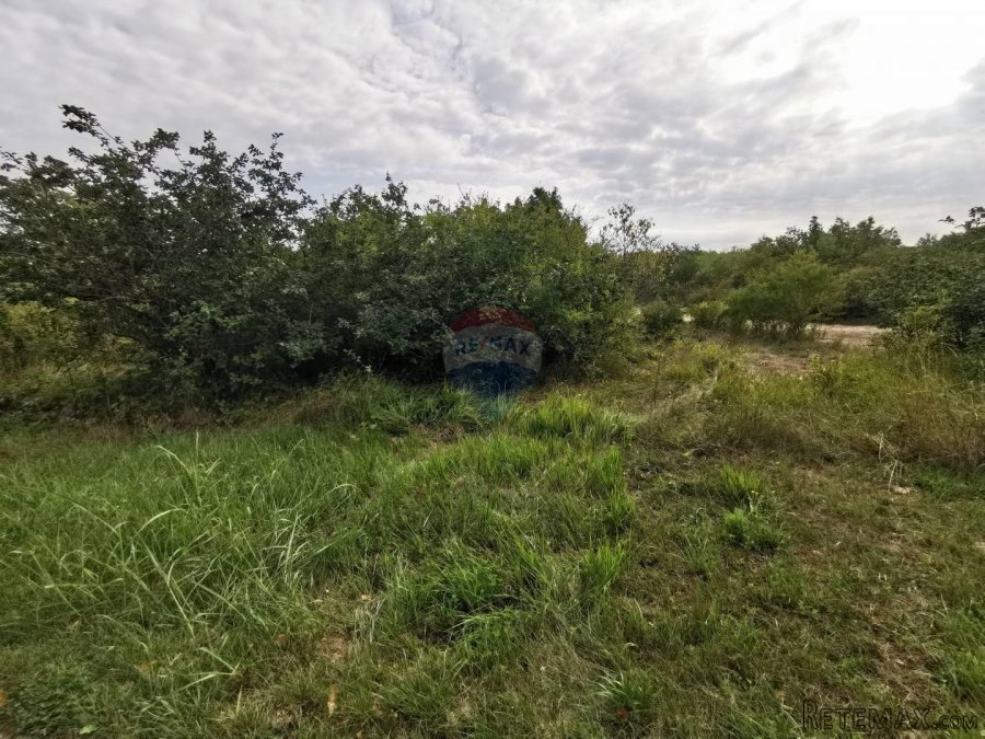 Istra,Grožnjan-Građevinsko zemljište u mirnom okruženju - 3