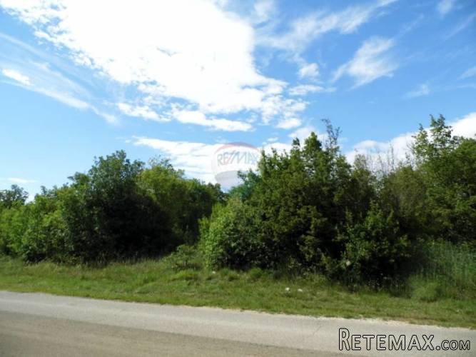 Istra - Bale - poljoprivredno zemljište 65.000 m2 - 5