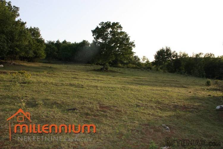 Istra, Karojba, poljoprivredno zemljište od 14.700m2 - 4
