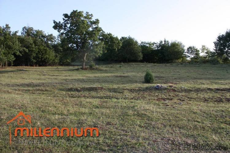 Istra, Karojba, poljoprivredno zemljište od 14.700m2 - 5