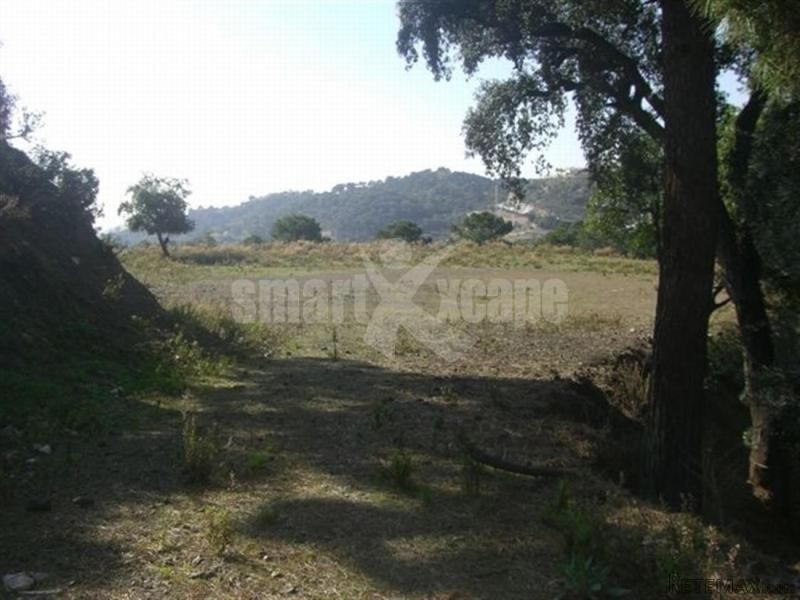 Plot/land For Sale In La Zagaleta.. - 2