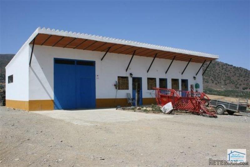 Country Properties for sale in Alora..